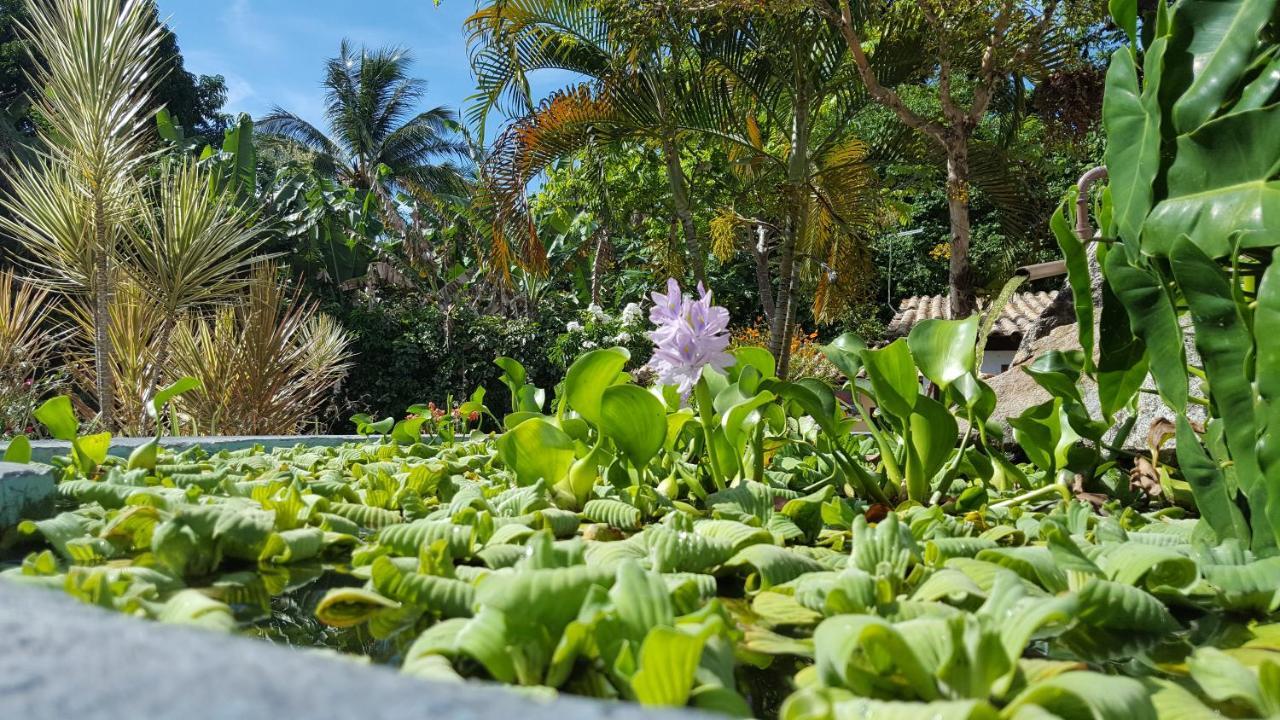 Pousada Tubarao Porto Seguro Eksteriør bilde